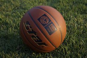 Basketball Ball green grass