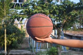 Brown "Spalding" ball on the hand, near the green trees