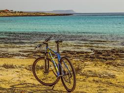 Bicycle Bike Sport on shore