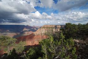 Beautiful and colorful Grand Canyon Vista with green trees, under the cloudy sky, in Arizona, USA