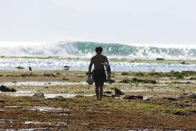 landscape of Surfer on Beach