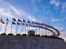 flags in olympic club