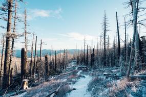 landscape of Trekking on Mountain