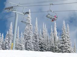 photo Canada ski lift on the background of snowy trees