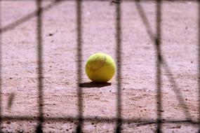 Tennis Ball on Sport court