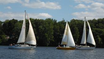 three Yachts on water near shoreline, russia, moscow