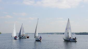 white sailboats on the water on a clear day