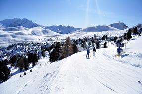 landscape of Snowy Winter Alpine