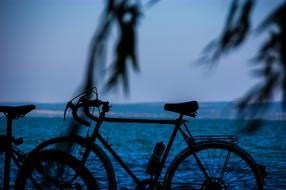 silhouettes of bicycles near blue water at dusk