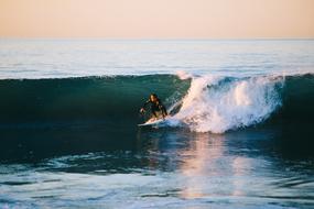 surfing in the ocean wave at dusk