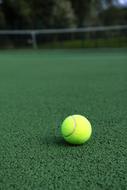 tennis ball on sports court