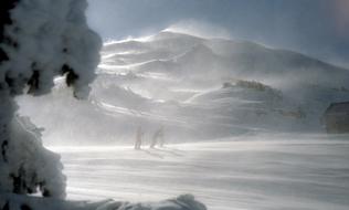 People, on the beautiful, snowy mountain, in mist, in the winter