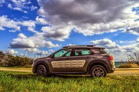Citroen C4 Cactus car on a rural field