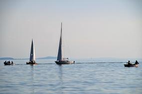 sailboats on lake balaton on a sunny day