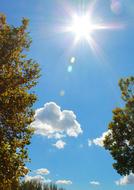 Beautiful view of the colorful trees and blue sky with white clouds and sunshine