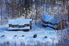 Beautiful houses, among the snowy forest in Hokkaido, Japan