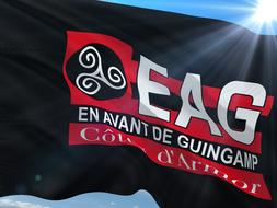 Football International eag flag