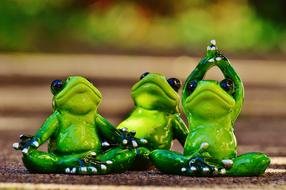 Figures of Frogs Yoga