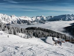 Beautiful landscape of the beautiful, snowy mountains, with the trees, in the winter