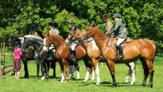 People riding on the beautiful, colorful and cute horses, on the green meadow, among the green trees