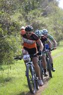 cyclists in the meadow near the trees