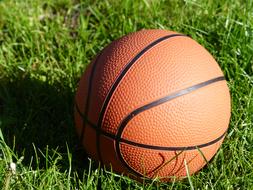 Basketball Ball Orange on the grass in the sun close-up