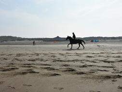 Person, riding on the horse, on the beautiful sandy beach of the North Sea