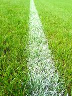 Football Field Line Mark close-up