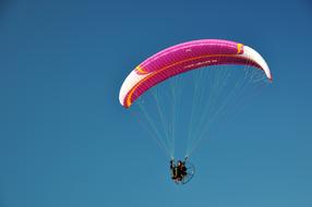 Paragliding sportsman