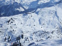 mountain slopes in the snow with trees