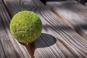 Close-up of the fluffy, green tennis ball, on the wooden surface, in light and shadow