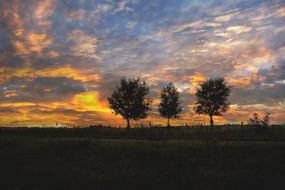 Beautiful landscape with the trees at colorful sunrise on background