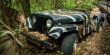 Old, black and white Jeep in zebra pattern, among the colorful plants, near the bridge