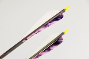 purple feathers on sport arrows