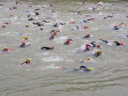 Colorful swimmers, crawling on the competition, in Danube River, in Ulm, Germany