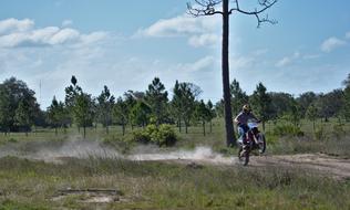 Rider, riding on the one wheel, on the path, among the beautiful, green plants, under the blue sky, with white clouds