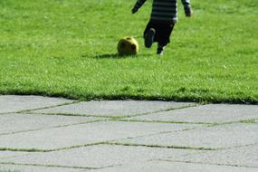 Player, kicking the football, on the beautiful, green meadow