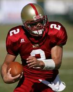 American Football quarterback, in the colorful uniform and equipment, on the green field, on the competition