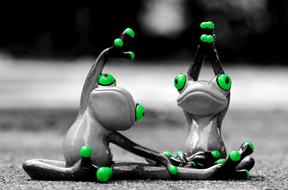 Black and white photo of the cute and beautiful frogs, with green eyes and fingers, doing yoga