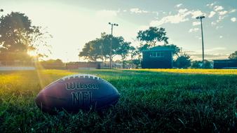 leather rugby ball on green lawn