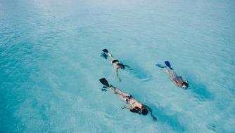 swimmers in the ocean, top view