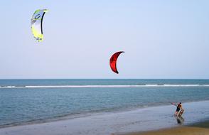 Person, going to do windsurfing with the colorful parachutes, on the beautiful sandy beach
