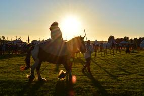 Rider on the cute and beautiful horse, on the colorful field, at colorful and beautiful sunset