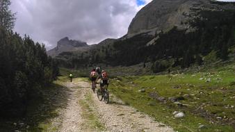 landscape of Bike Drive Away