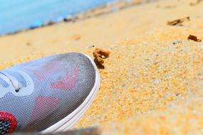 sneakers on the sand of the beach near the sea