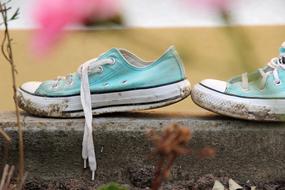 Dirty, mint and white sneakers, among the colorful plants