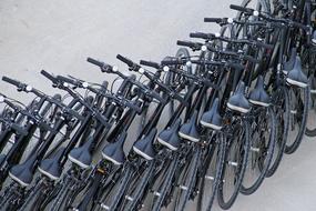 many bicycles in a row