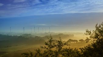 Beautiful and colorful, foggy landscape with the plants, at colorful and beautiful