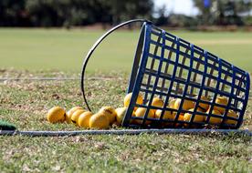 Golf Balls in Basket on the field on a blurred background