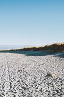 Beautiful, sandy coast with the colorful plants, at blue, gradient sky on background